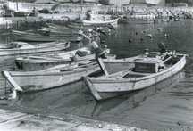 穏やかな港の水面に、いくつもの木造の小型漁船が並んで停まっている白黒写真