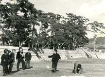 海岸沿いの壁に斜めに立てかけられた木の枠に海苔が干されてる天日干しの風景を撮影した白黒写真