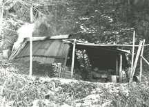 山の斜面に建っている木や竹を使って作られた、小さな小屋から白い煙が立ちのぼっている炭焼き釜を正面から撮影した白黒写真