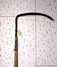 長い柄に、弓のようにカーブした鋭い刃がついたワカメ刈り鎌の写真