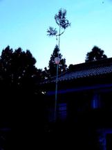 古民家の前に梢を残して樹皮を剥いだ若杉の柱が立てられ、この柱に灯籠が取り付けられ夕暮れの空に浮かび上がっている灯篭柱を写した写真