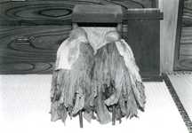 畳の上に置かれた30センチ前後の御神体に沢山の布が重ねられている一対の木偶が写っている白黒写真