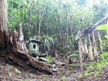 竹が密集し、地面には落ち葉や草が広がっている竹林の中にひっそりと佇む小さな石の祠の写真