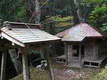 鬱蒼とした森の中に木造の小さな社殿が建ち、苔むした地面の前には簡素な鳥居が立ち、周囲を大木と新緑が囲む静謐な雰囲気の荒沢不動尊の写真