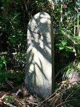 草木に囲まれた場所に、縦長で角の丸い石碑が立っている干魚供養塔の写真