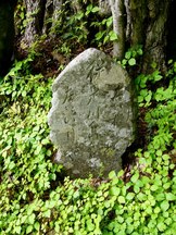 木の根元近くの地面に苔や草に覆われながら小さな石碑が立ち、表面には薄れた文字が刻まれている払川の道標の写真