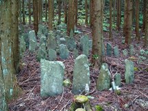 森林の中に、大小さまざまな石碑が整然と並べられている沢内板碑群の写真