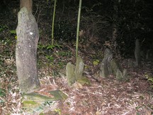 鬱蒼とした竹林の中に、複数の風化した石碑が静かに並んでいる大船沢板碑群の写真