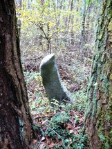 緑豊かな森林の中で、2本の木の間に、苔むした細長く、反った石碑がたっている山谷寺跡の板碑の写真