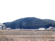 冬枯れの広い田畑の向こうに、均整の取れた形で濃緑の杉林に覆われた小高い山がそびえ、周囲に民家や電柱が点在する小森館跡の写真