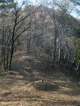 冬枯れの雑木林に囲まれた山の小道の中央に、こんもりとした小さな塚がある写真