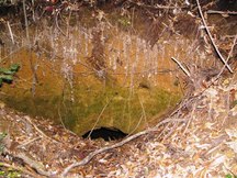 地面に大きな縦穴がぽっかりと口を開け、周囲には木の根が垂れ下がり落ち葉や枝が散らばっている土金掘り坑口の写真