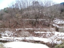 木々が葉を落とした冬の山の斜面に雪がまだらに残り、段々畑の跡のような段差が続いている谷老堰の写真