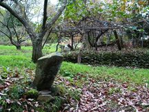 周囲に落葉した木々や石垣が見える草の生えた地面に傾いた小さな石碑のようなものが立っている安倍丹後の墓を撮影した写真