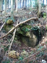 斜面の土が崩れた場所に大きな岩が露出し、苔やシダ植物が岩肌に生え、周囲には倒木や枝が散乱している五枚山産金跡の写真