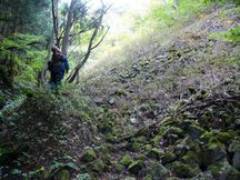 斜面に苔むした石が広がっているズリ石の堆積を写した山中の写真