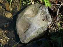 大きな石で、表面の中央にすり鉢状のくぼみが三ヶ所見える叩き臼の写真