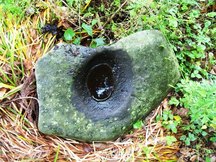 草むらに置かれた石で、中央に大きく深い円形のくぼみがあり、そこに雨水がたまっている擦り臼を写した写真