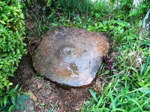 草むらに置かれた直径44センチの金挽き臼で、表面に同心円模様が見られる金挽き臼の写真