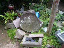 庭先の草むらに直立させて置かれた大きな石臼で、表面の中央に穴があり、白い苔が斑点状に付着している金挽き臼の写真