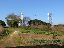 木々に囲まれて灯台と電波塔が並んで立ち、手前には畑とその横を通る未舗装の一本道がある風景の写真