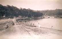 松原の前の堤防から続く砂浜と、海水浴をする人々、奥の家々や森が写った海岸風景の古い写真