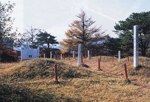 草地に複数の土の盛り上がりとそばに白色の標柱が立てられた田束山経塚群の写真