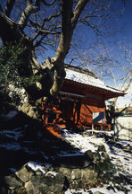 雪が積もった木々のそばに、赤い外壁で木造瓦屋根の天女塚と、隣に同じ赤色の狗塚が並んでいる戸倉津の宮の写真