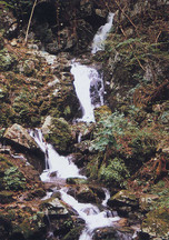 岩の間を流れる小さな滝の写真