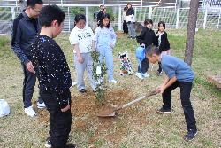 キンモクセイの苗を植樹する児童の様子