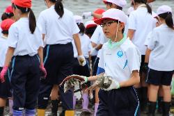 網にかかった魚を拾い集める児童の様子1