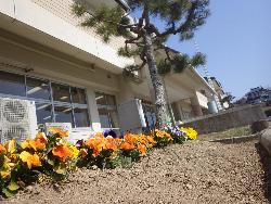 花壇には子供たちが植えた花が咲いています