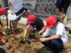 花壇に花の苗を植える子供たちの様子1