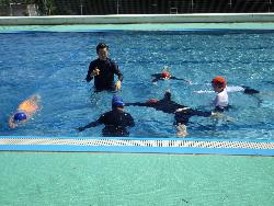 水泳学習の様子2