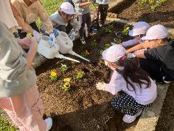 友達と協力しながら花の苗を植える子供たちの様子