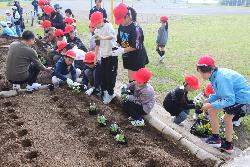 花壇に花の苗を植える子供たちの様子