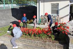 縦割り班リーダーの指示で手際よく苗を掘り出す子供たちの様子