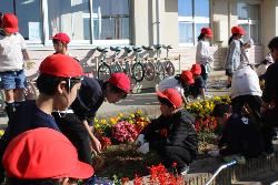 友達と相談しながら作業を進める子供たちの様子