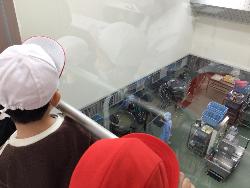 給食を調理している所をガラス越しに見学している子供たちの様子