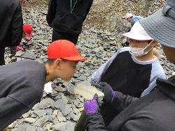 割った石の断面に見える化石の痕跡について説明を受ける児童