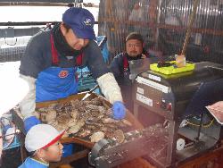 機械を使ってホタテに作業をしていく様子を見守る子供の様子