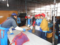 ホタテの稚貝を実際に見せてもらいながらホタテの養殖について説明を受ける子供たちの様子