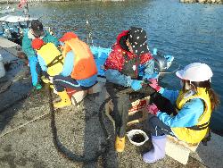 地域の方に作業を教えてもらいながら作業を行っている子供の様子