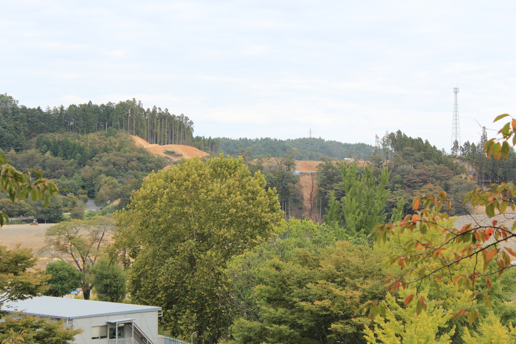 手前にさまざまな種類の木々が広がり、その奥には山の斜面が削られて造成工事が進められている様子が見え、さらに遠くには送電鉄塔や杉林が立ち並ぶ自然豊かな風景が広がっている写真