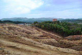 盛土が広範囲にわたり、奥に緑の木々と建物が見える伐採が完了している様子の写真