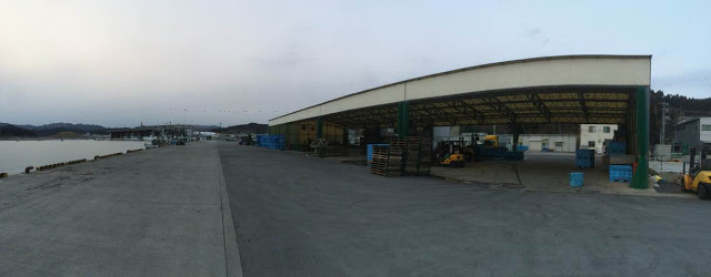 海に面したコンクリートの岸壁がまっすぐ続いている港の右側に屋根付きの大きな仮設志津川魚市場が建っている様子の写真
