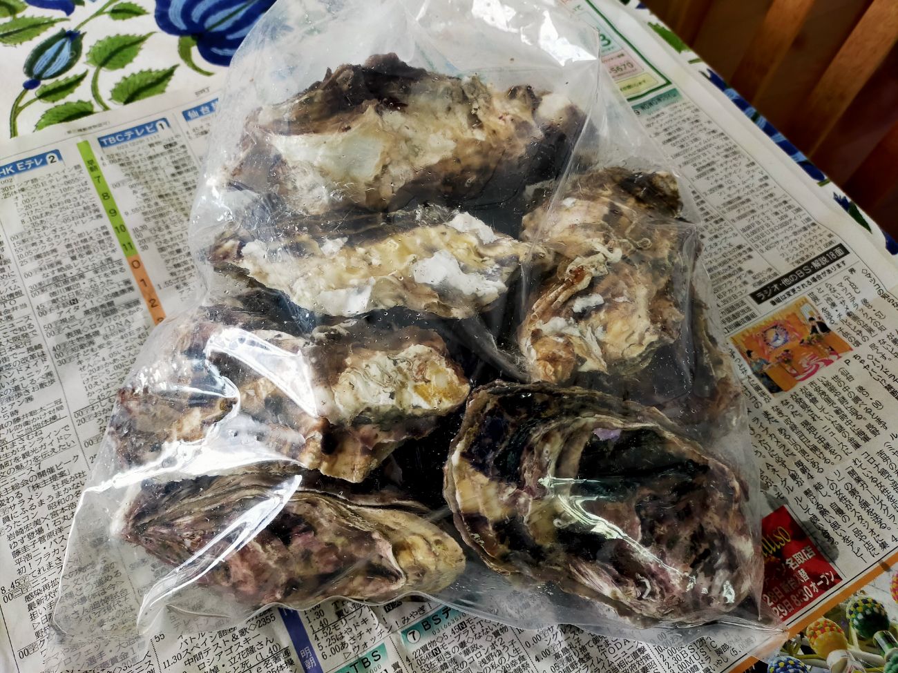 新聞紙か敷かれたテーブルの上に置かれた、透明のビニール袋に詰められいる沢山の殻付き牡蠣の写真