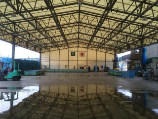 屋根付きの仮設市場に水色のパレットやコンテナが整然と置かれ、1台のフォークリフトが駐車してある市場内の写真