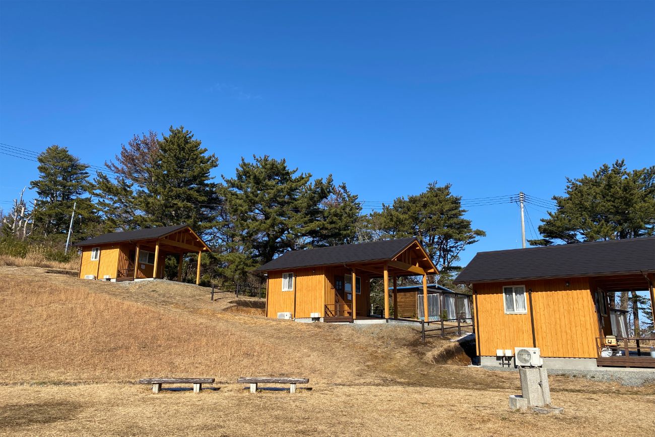 雲一つない青空の下、傾斜のある敷地内に背の高い松の木が並び、2つのベンチが設置された芝生広場に、3棟の明るい木造キャビンが立ち並んでいるキャンプ場の写真