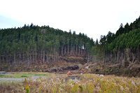 オレンジ色の重機が伐採された山のふもとで作業をしている、初期の工事が始まった造成地の写真